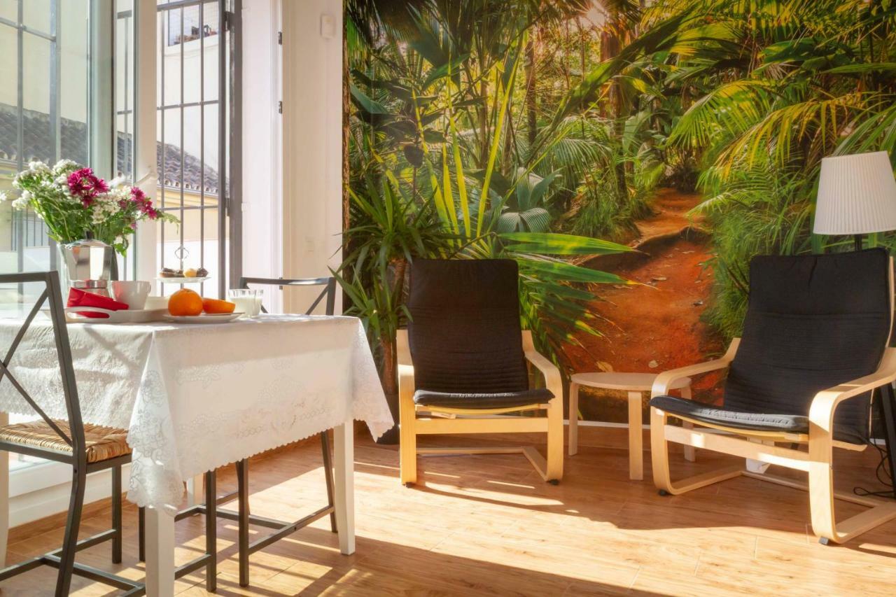 Fresh, Relax & Sun Historic Center Apartment Malaga Exterior photo